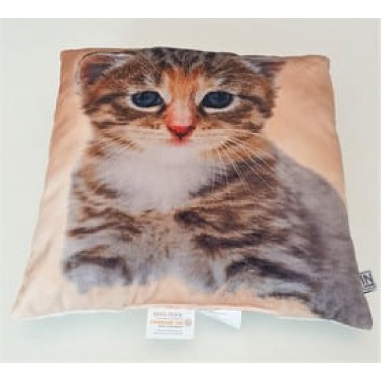 Perna decorativa Prieteni Pisica